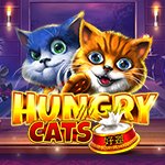 Hungry Cats